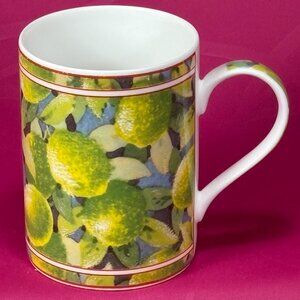 Queen's UK Citrus Fruit colorful bone china coffee mug